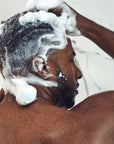 Black men shampoo