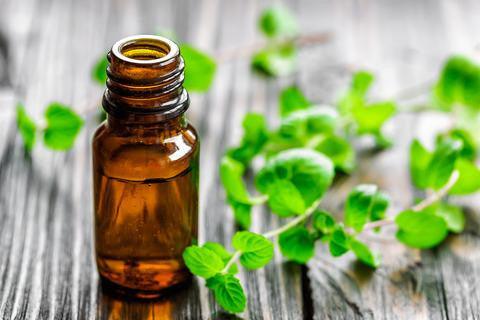 The Benefits of Spearmint Oil on Hair and Scalp