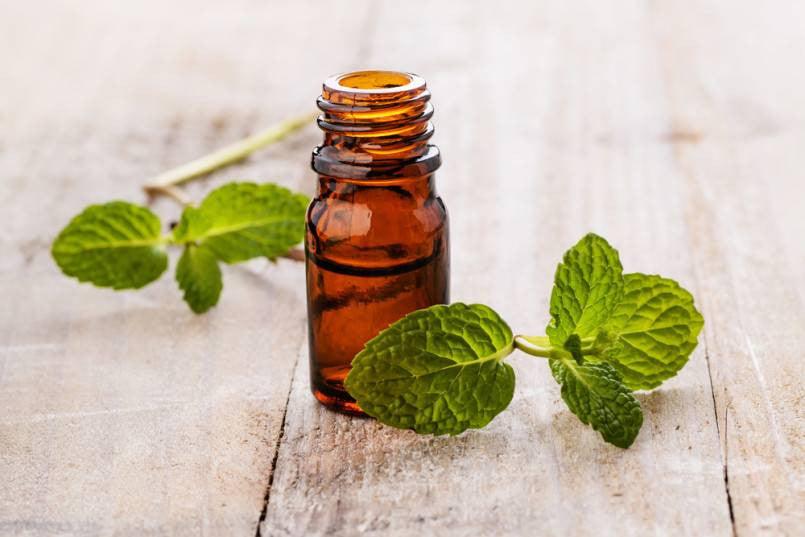 The Nutritional and Hair Care Benefits of Spearmint Oil