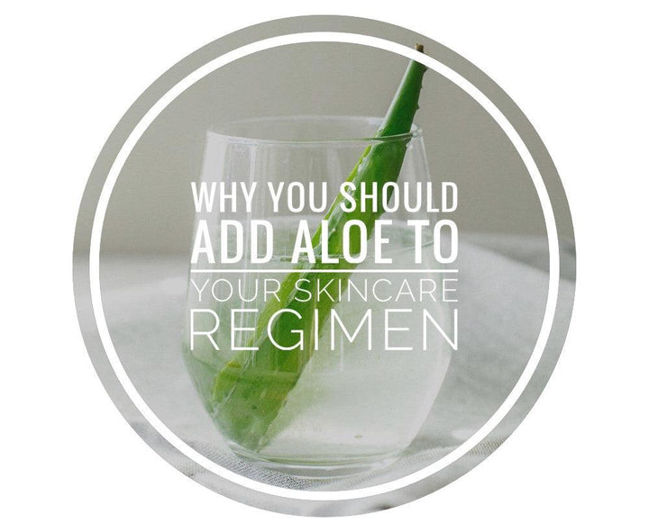 Why you should use Aloe for shaving regimen 